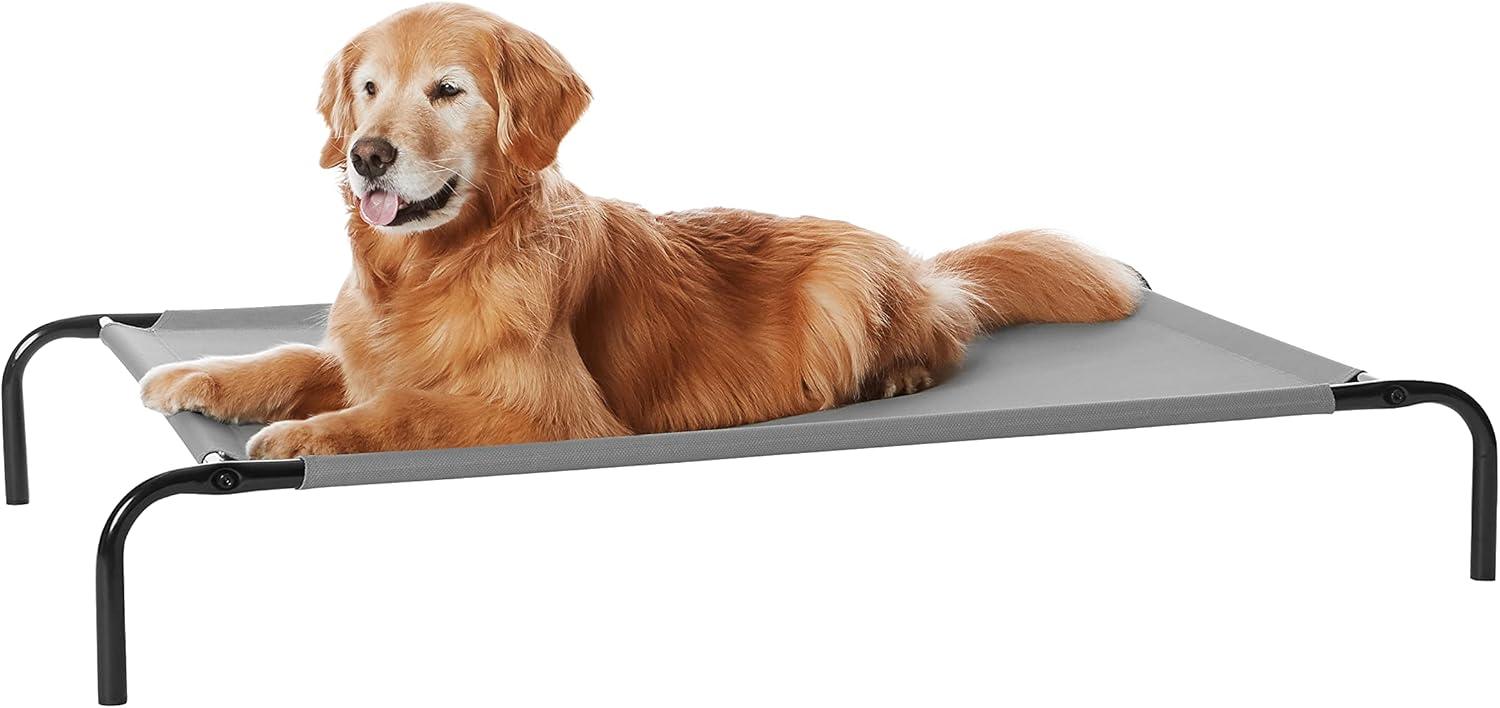 Howā Our Large Dogs Stay Cool and Comfy āon Elevated Beds