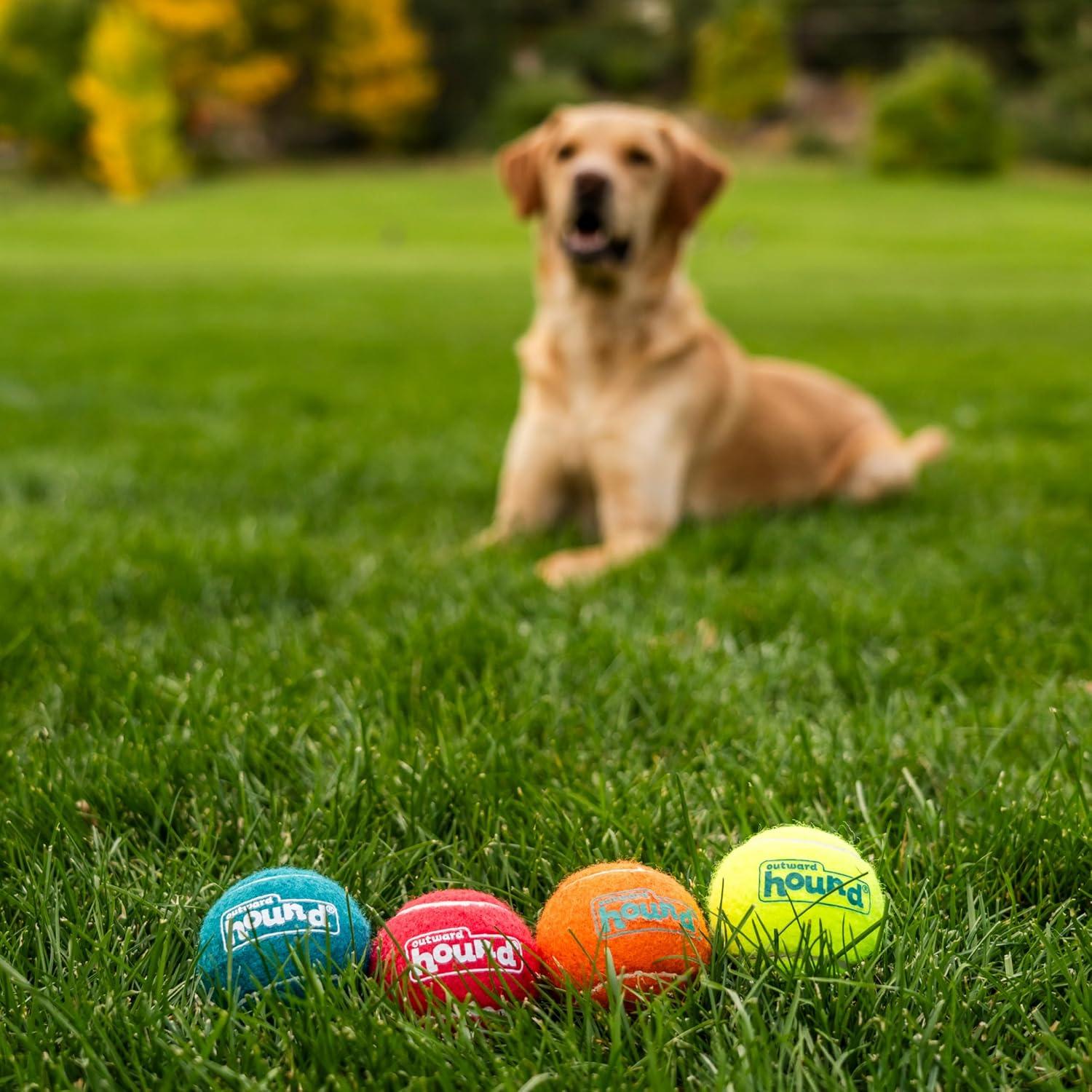 Why Our dogs Can’t Get Enough of These Bouncy Squeaky Balls
