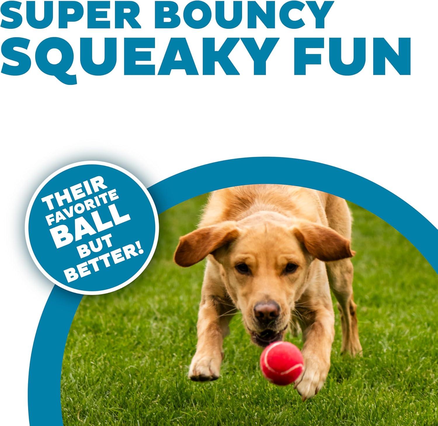 Why Our Dogs Can’t Get enough of These Bouncy Squeaky Balls