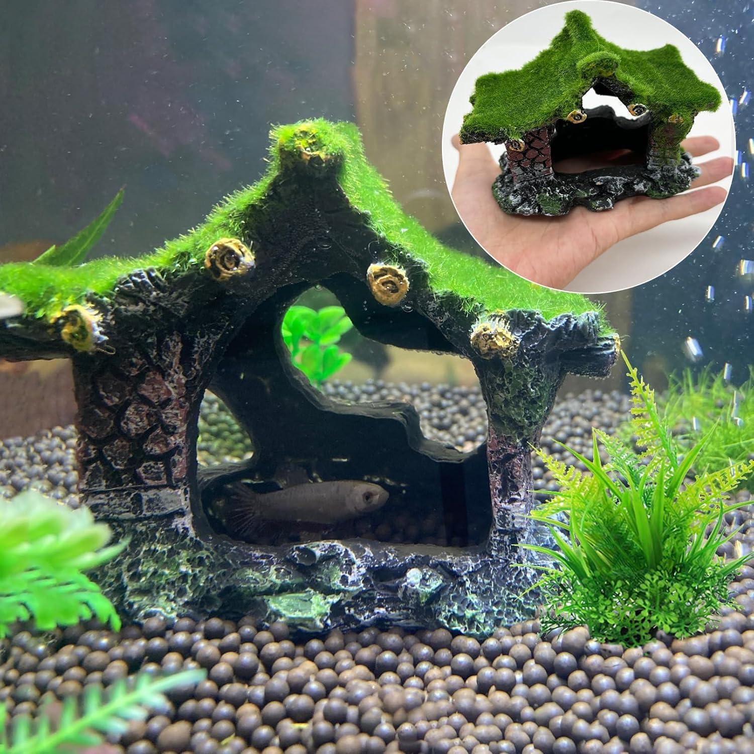 How ‌Our⁣ Betta Fish Found‌ calm in This Cozy Resin Hideout