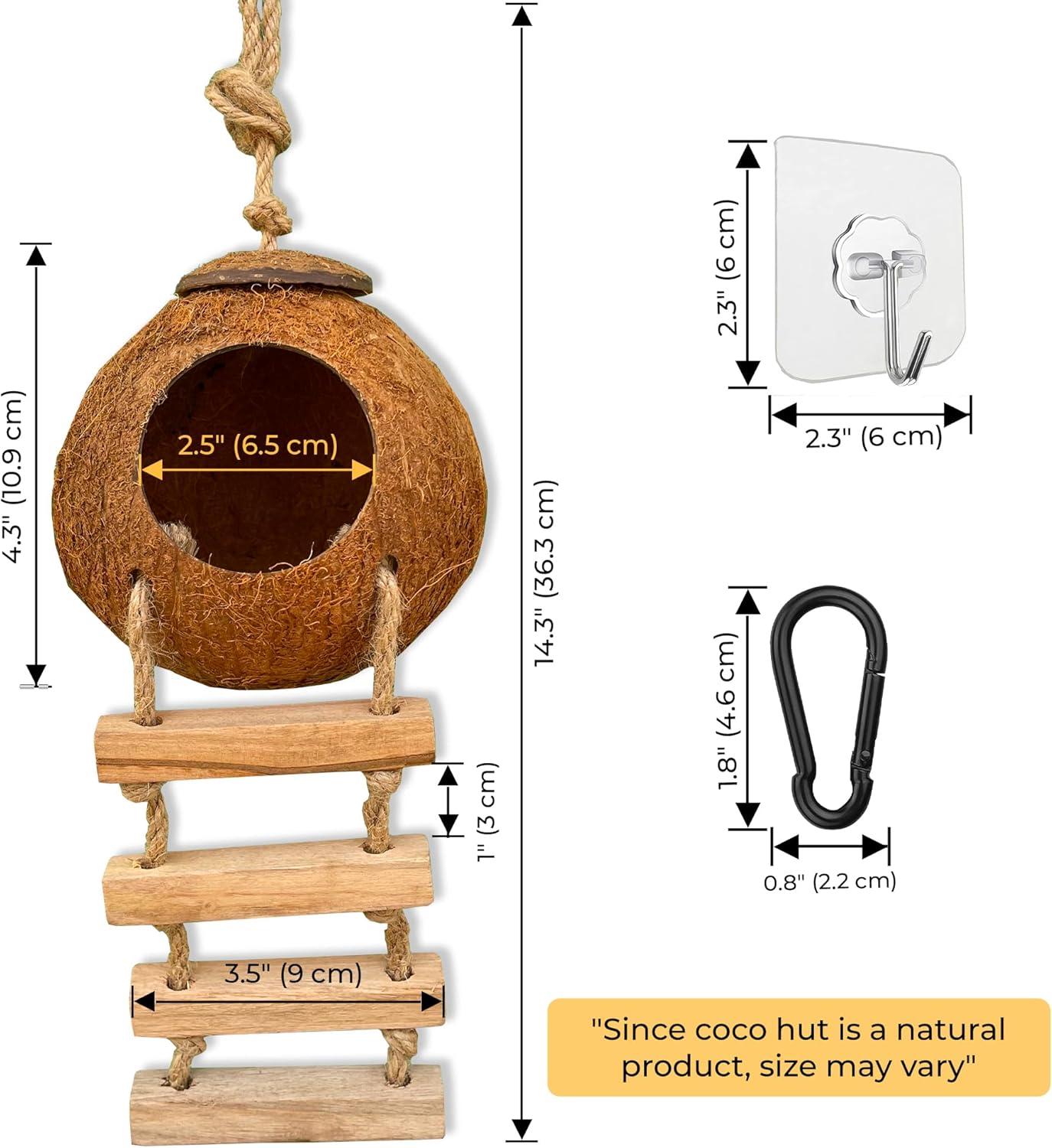 How‌ Our Gecko’s Coconut Hide Inspires Play and Cozy Comfort