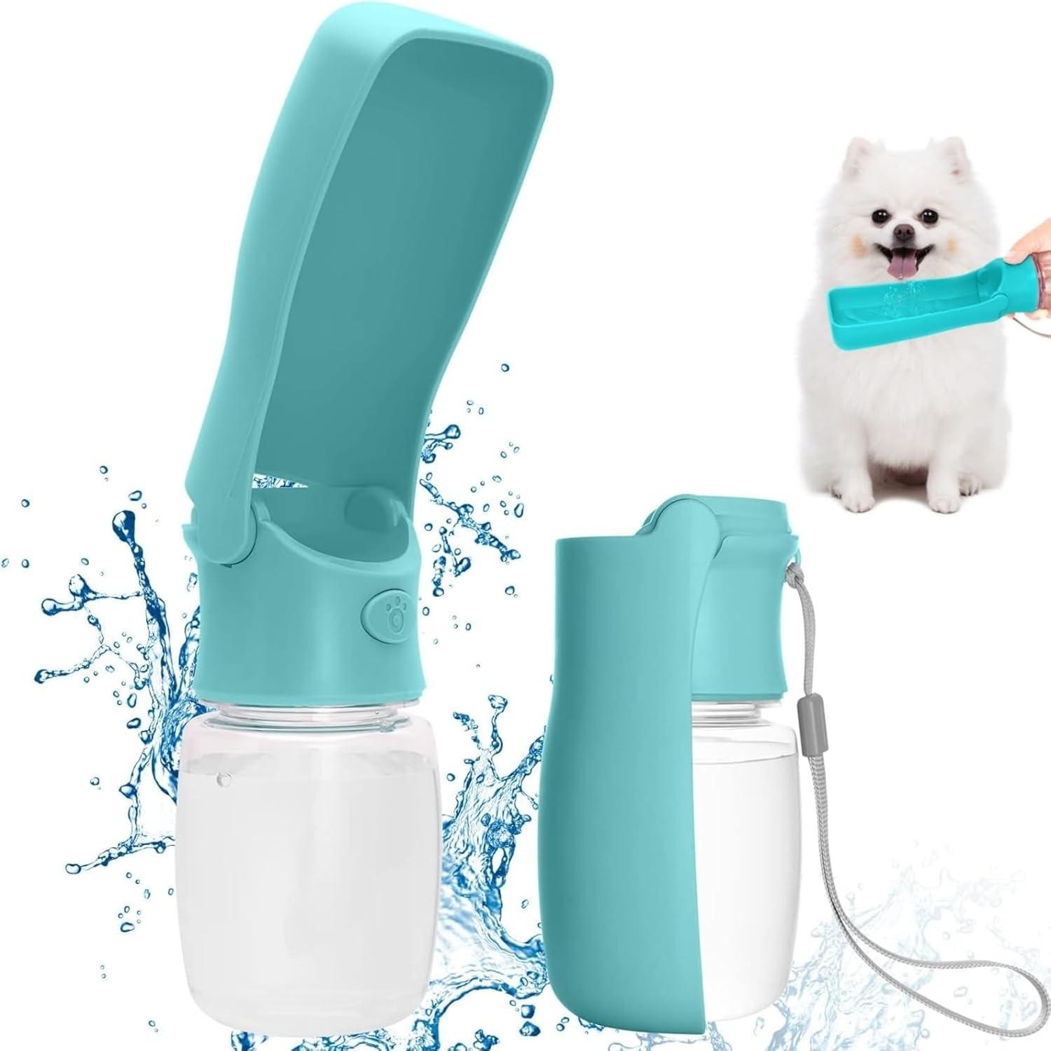 Top Pet Gear of 2025: Comfort, Care & Travel Essentials Reviewed