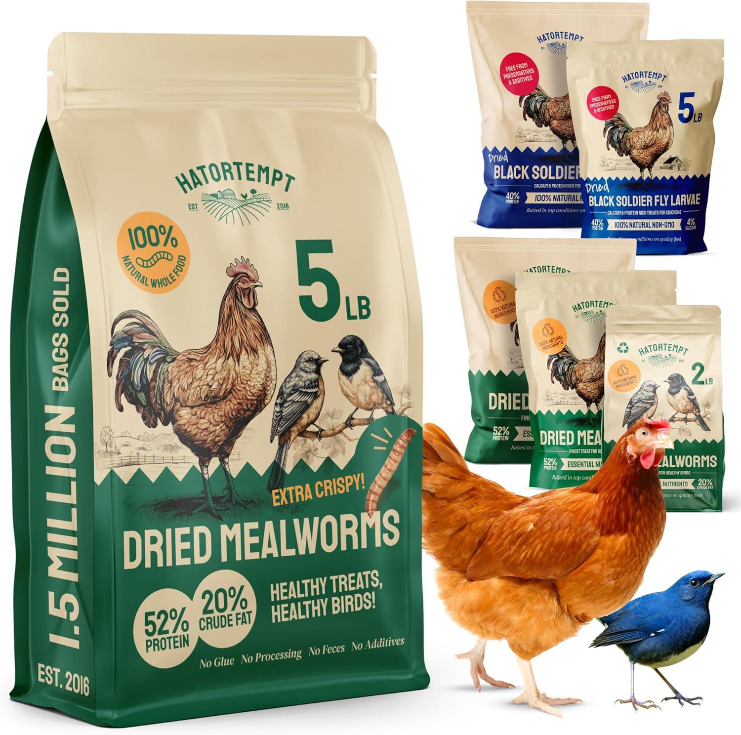 Fueling Our Flock Naturally: High-Protein Mealworms That Deliver