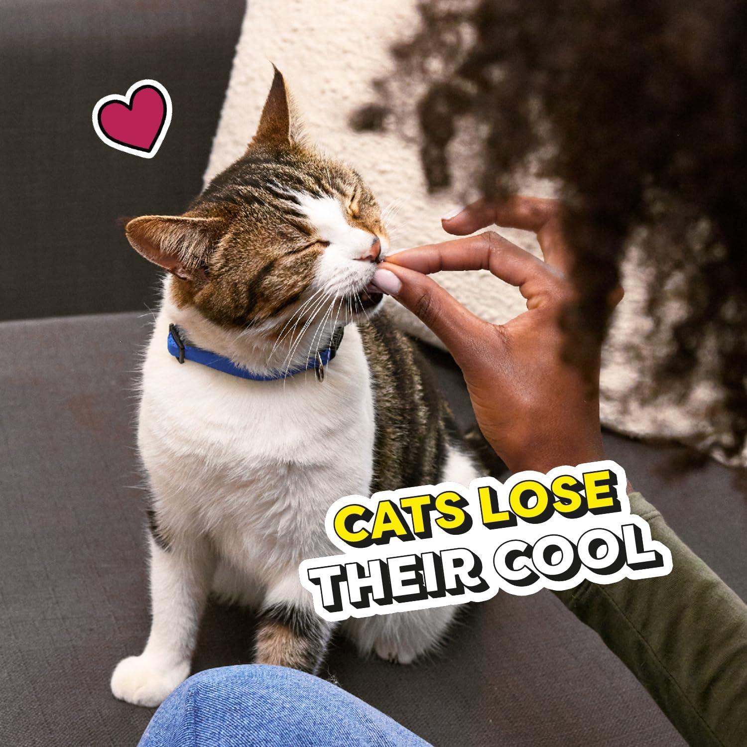 Why‌ Our⁣ Cats Can’t ‌Resist These Low-Calorie Tuna Treats