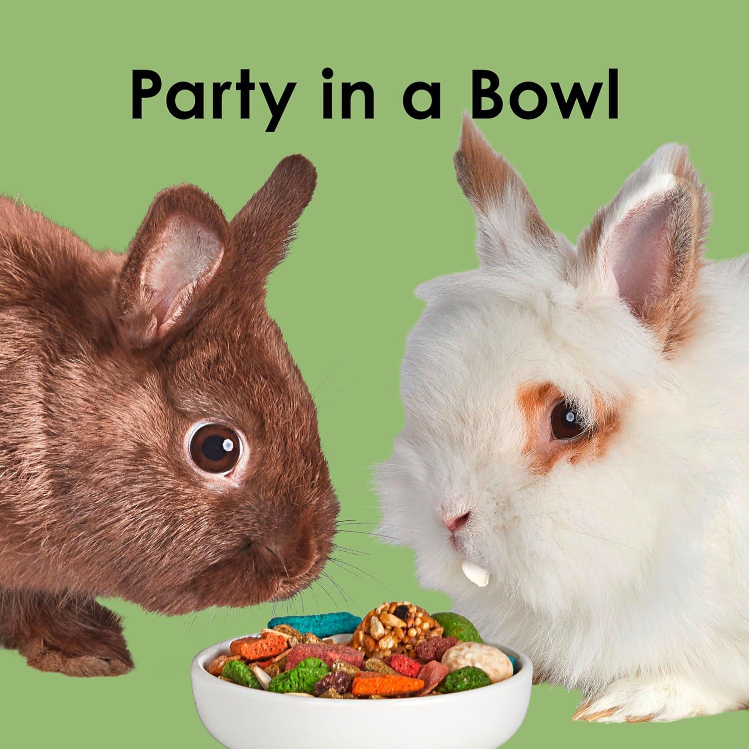 Why Kaytee Fiesta Turns Every Bunny’s Meal into a Celebration