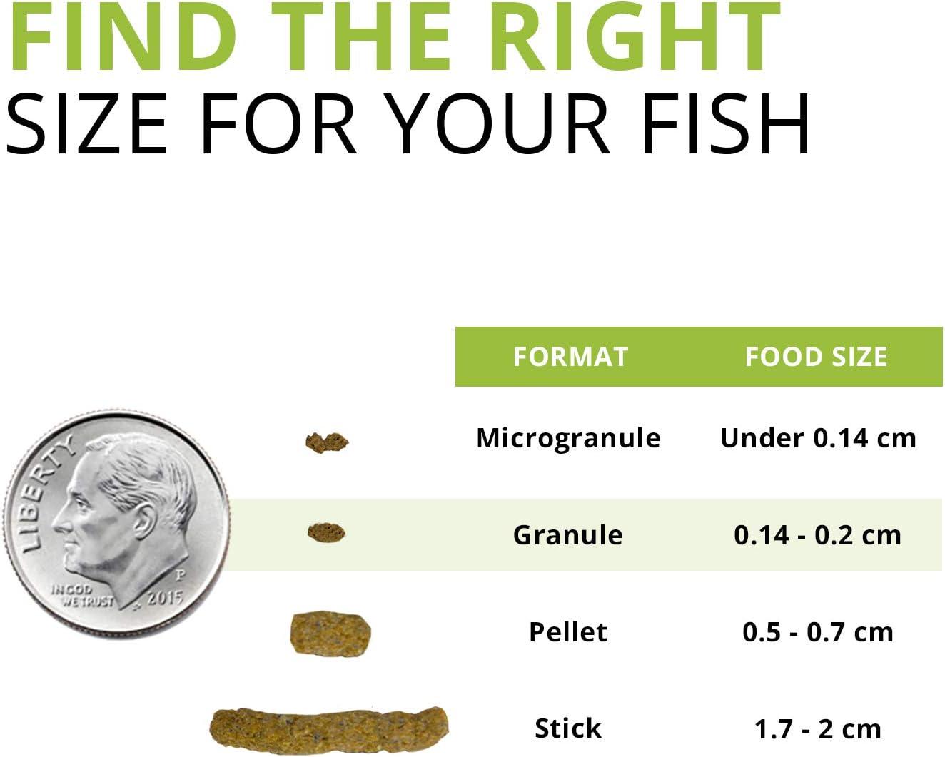 How Our Bottom Feeders⁣ Thrived on this Protein-Packed ⁢Insect Diet