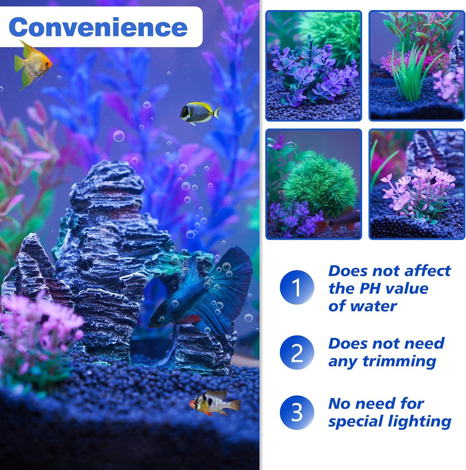 How We Transformed Our Tank Into a Lively Underwater Haven