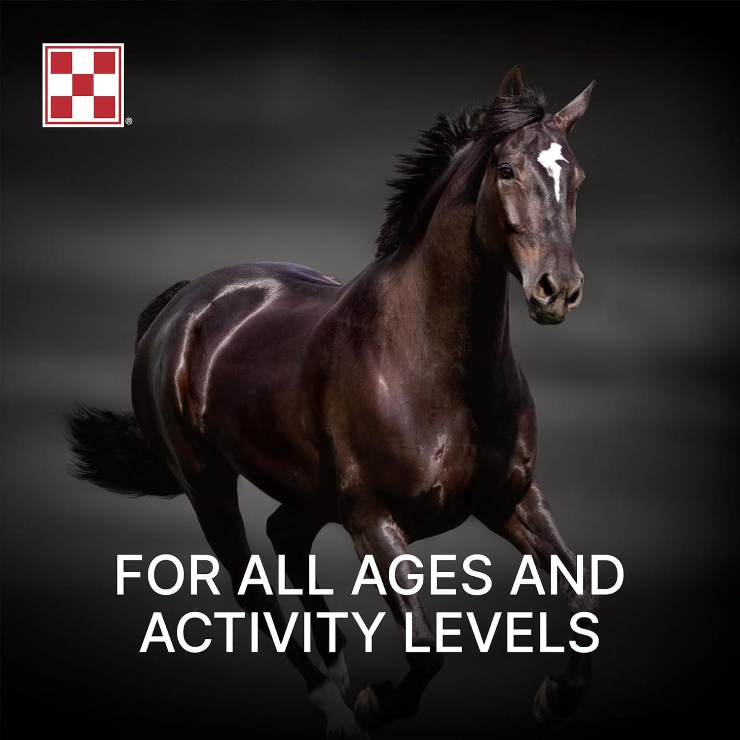 How We Boosted Our Horses’ Energy and shine with Purina’s High-Fat Blend