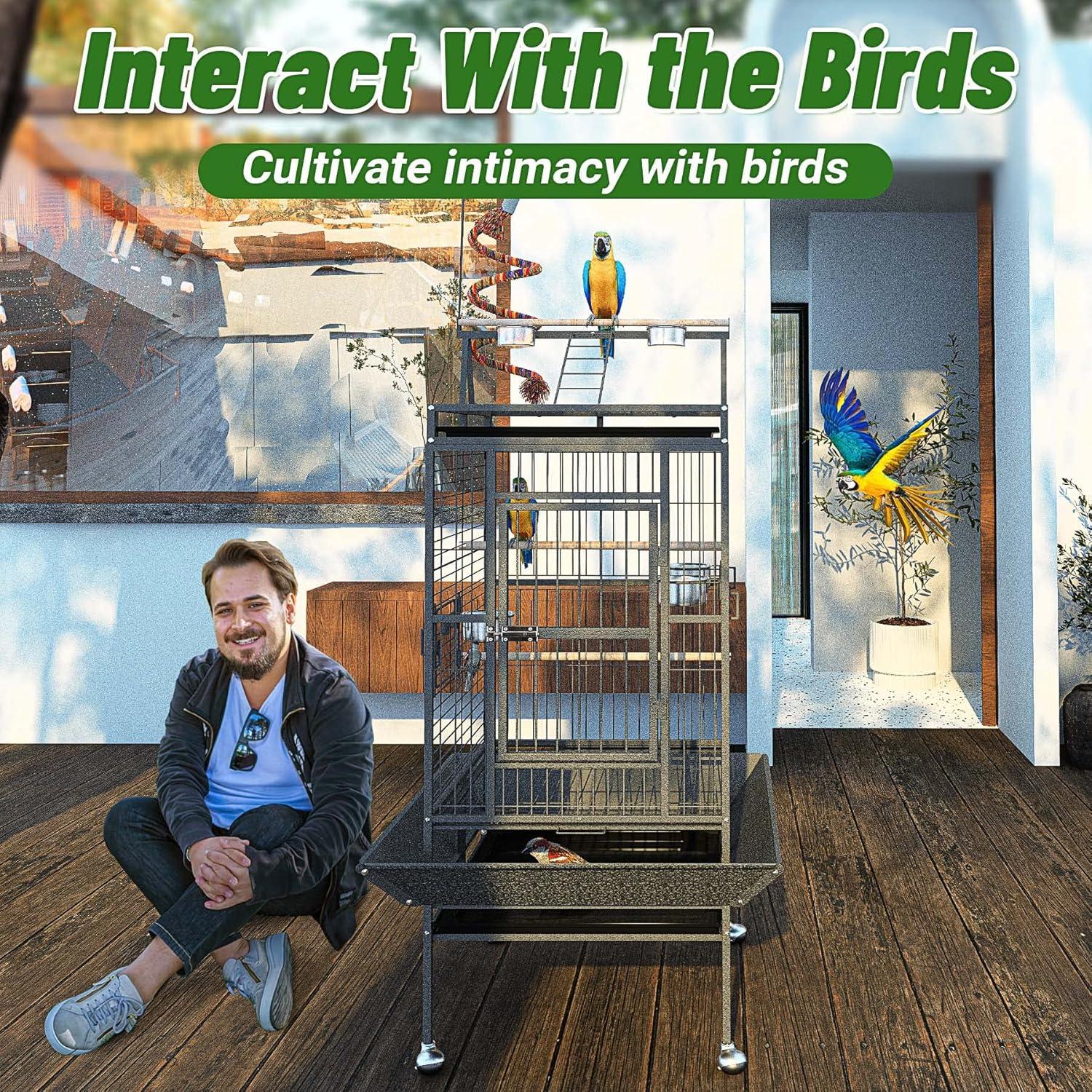 Why our Feathered Friends Thrive in BOINN’s‍ Spacious Flight Cage