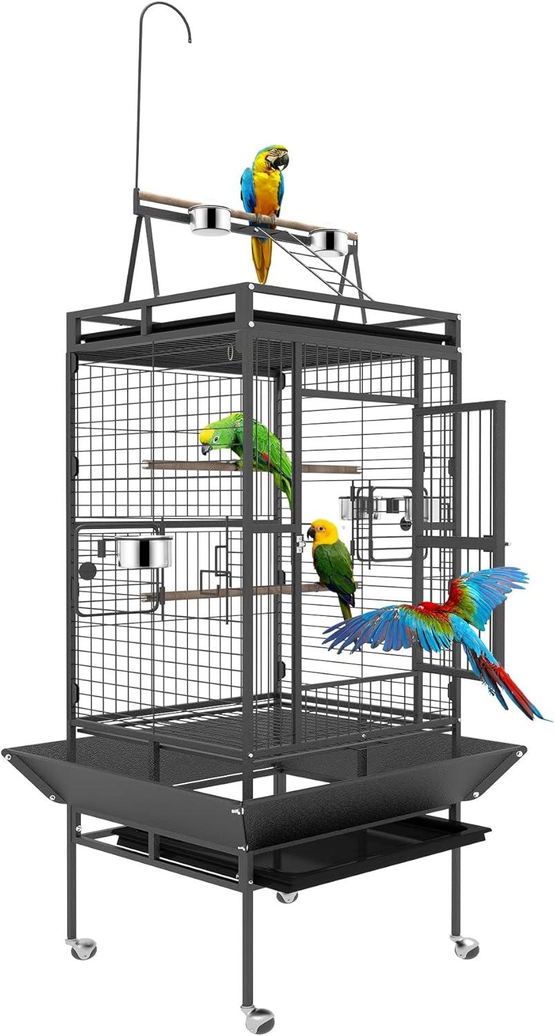 Why Our Feathered ‍Friends Thrive in ​BOINN’s Spacious Flight Cage