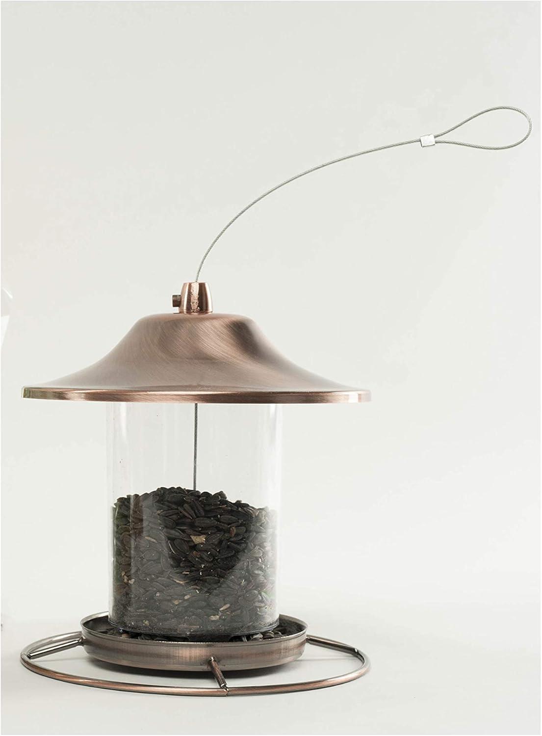 Why Our Backyard Birds Flock to This High-Energy Snack