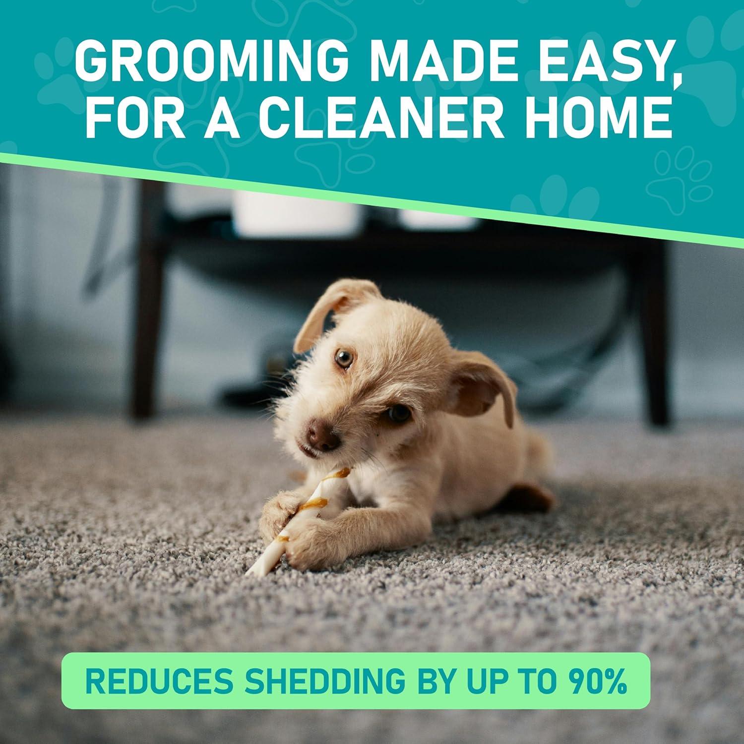 How We ‍Cut Shedding Drastically with this Dual-Sided Pet Brush