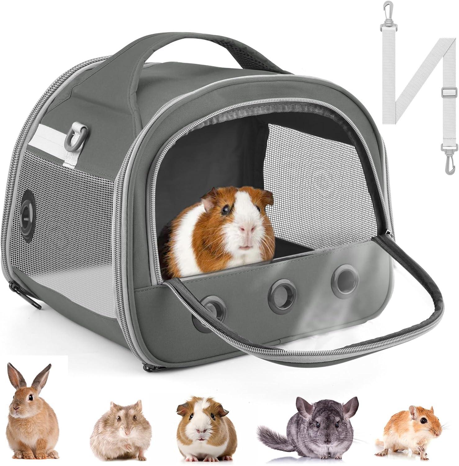 Keeping Our Small Pets Safe and Comfy on every Outing