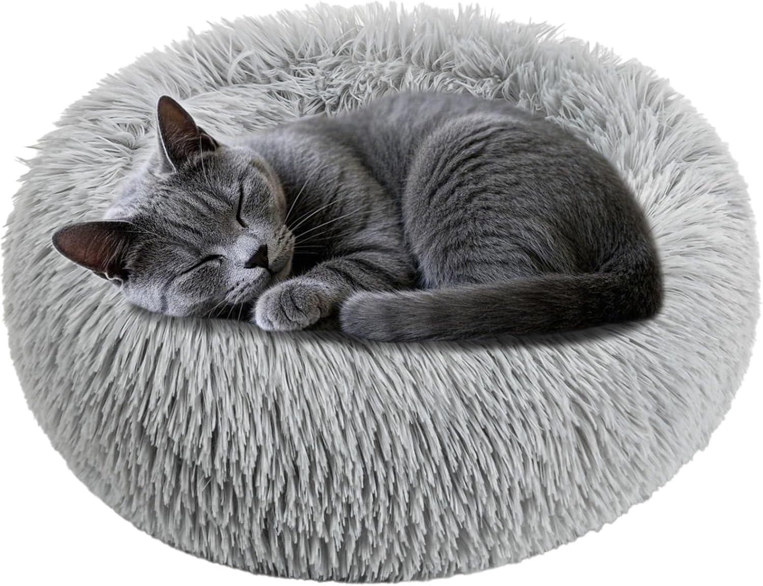 Why ​Our Kittens Love This Cozy, Non-Slip Donut Bed