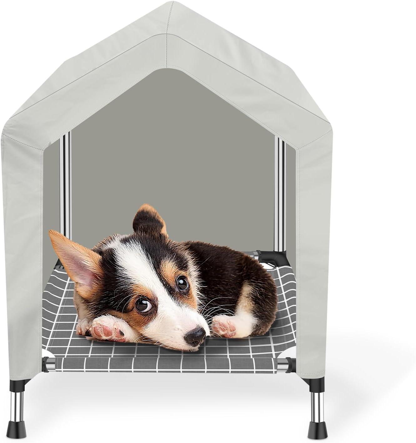 How Our Pets Found Cozy Comfort in This Elevated Dog Tent