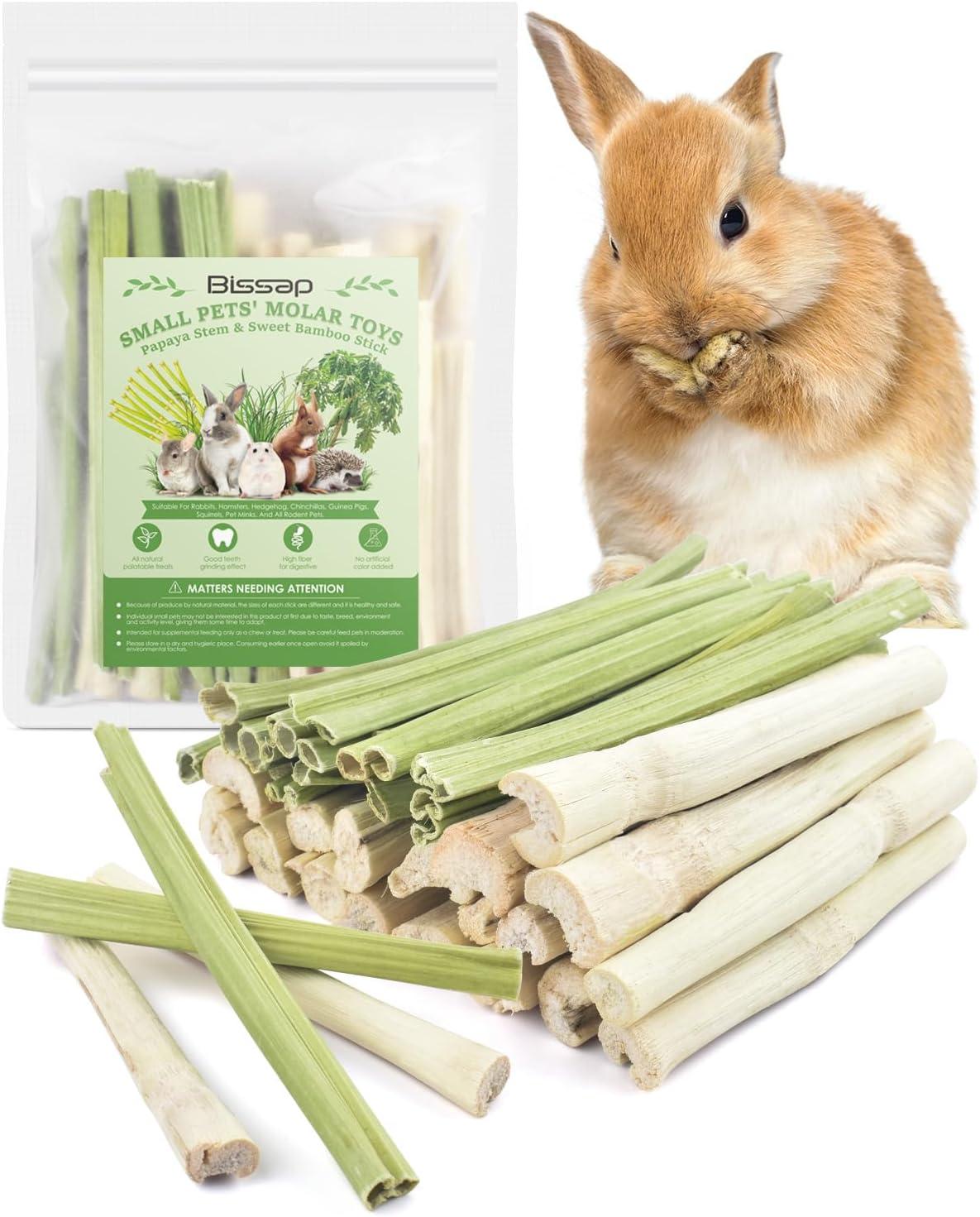 How We Keep Our Small Pets Happy and Healthy with Natural Chews