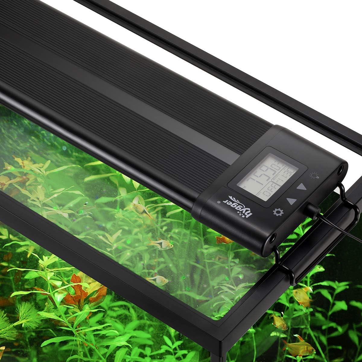 Top Aquarium LED Lights for Every Tank: Bright, Colorful & Customizable