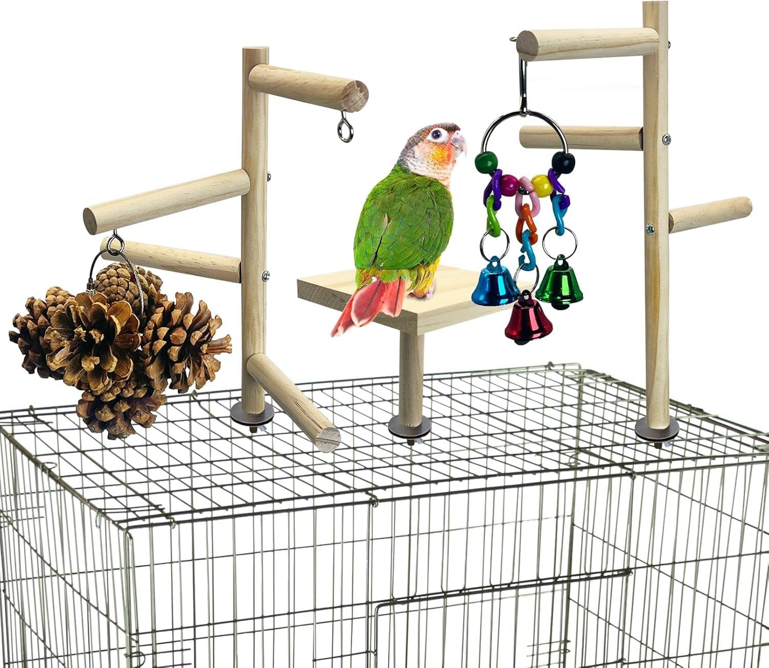 Top Bird Cage Accessories & Seed Catchers: Must-Have Picks for 2024