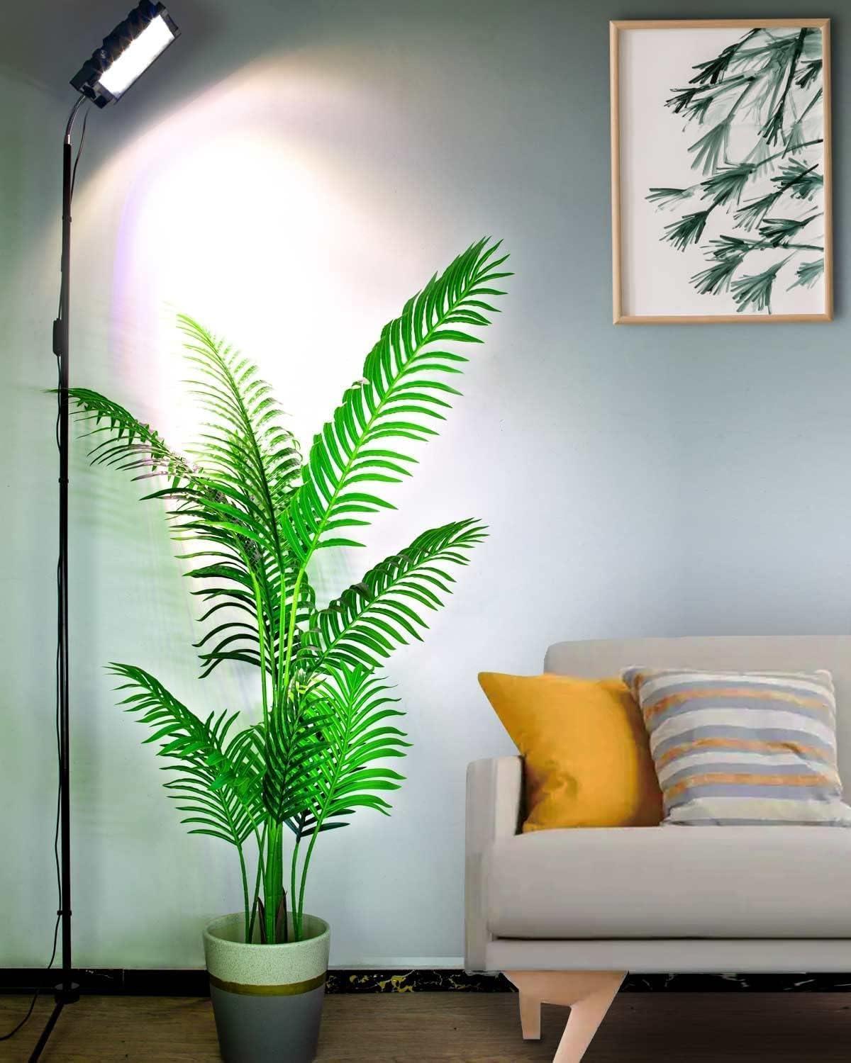 top Rainbow Fish Care and Aquarium Kits for Every Hobbyist