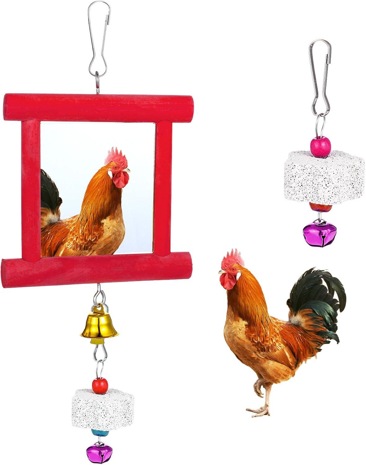 Top ⁢Bird Toys & Perches for Parrots, Conures, and ‌Poultry