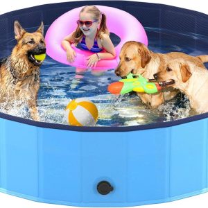 Our Pets’ New Favorite Splash Spot: Easy, Portable, and Durable Pool