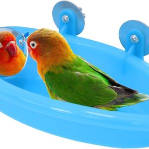 How Our Feathered Friends Enjoy Splash Time with This Clever Bird Bath