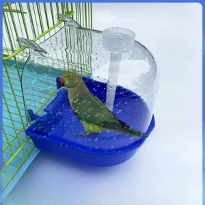 How Our Birds Enjoy Cleaner Feathers with This Easy Bath Solution