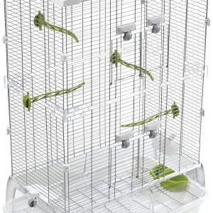 Why This Bird Cage Makes Cleaning and Care So Much Easier for Us