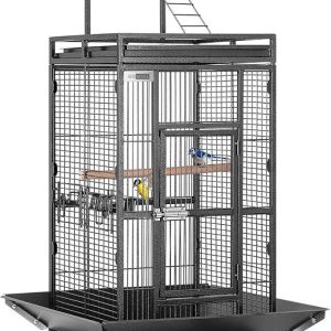 Our Spacious, Stylish Bird Haven: Safe, Mobile, and Easy to Clean