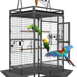 Why Our Feathered Friends Thrive in BOINN’s Spacious Flight Cage
