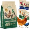 Fueling Our Flock Naturally: High-Protein Mealworms That Deliver