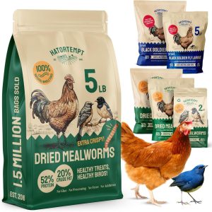 Fueling Our Flock Naturally: High-Protein Mealworms That Deliver