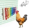 How We Added Joy and Activity to Our Coop with a Chicken Xylophone