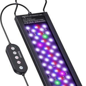 How Our Aquarium LED Transformed Plant Growth and Fish Colors