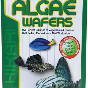 The Tropical Algae Wafer That Keeps Our Fish Healthy and Happy