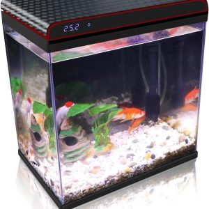 The Self-Cleaning Aquarium That Makes Betta Care Effortless for Us