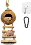 How Our Gecko’s Coconut Hide Inspires Play and Cozy Comfort