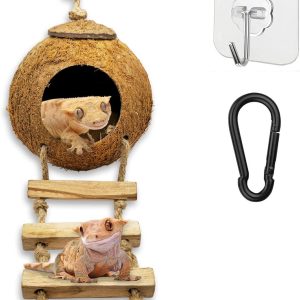 How Our Gecko’s Coconut Hide Inspires Play and Cozy Comfort