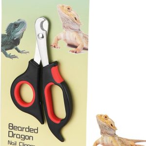 The Perfect Trim: How We Keep Our Bearded Dragons’ Nails Safe & Smooth