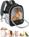 The Perfect Pet Carrier Backpack for Stress-Free Small Animal Travels
