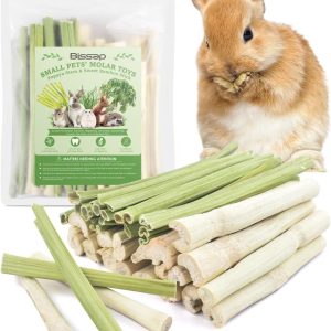 How We Keep Our Small Pets Happy and Healthy with Natural Chews
