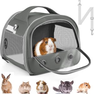 Keeping Our Small Pets Safe and Comfy on Every Outing