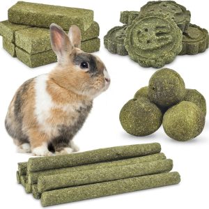 How Natural Timothy Chew Toys Keep Our Rodents’ Teeth Healthy