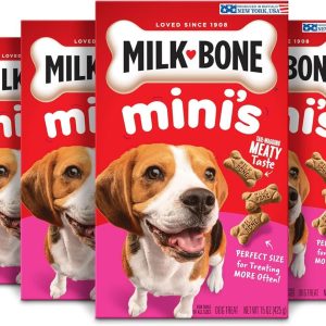 Fueling Our Dogs’ Health: Salmon & Pumpkin Kibble That Delivers