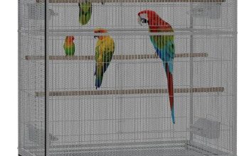 Top Bird Cage Accessories & Seed Catchers: Must-Have Picks for 2024