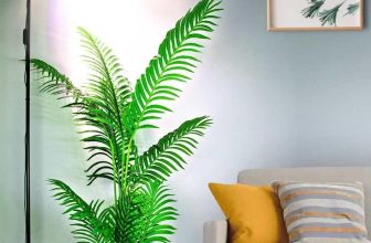 Top Aquarium Gear: Tanks, Lights, Filtration & More Reviewed